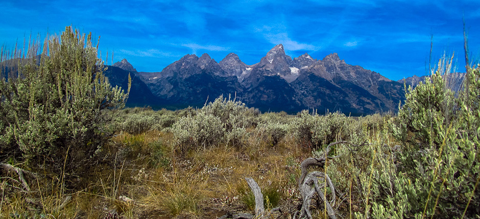landscape.html