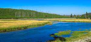 Yellowstone